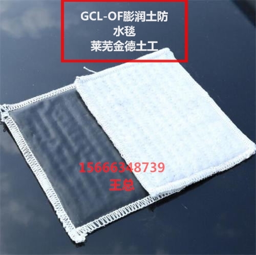 黎城（當地）HDPE防水板優(yōu)選環(huán)保型2.0毫米（防滲膜）