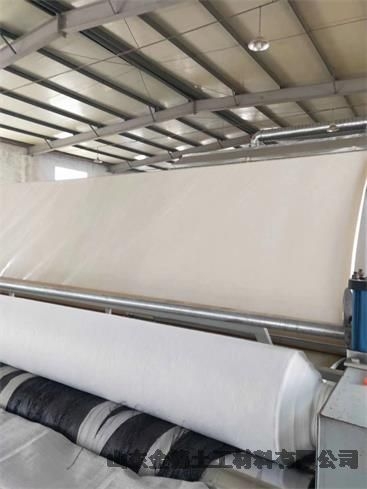 高密度聚乙烯防滲膜GH-2S環(huán)保HDPE土工膜-國標透水土工布+余江縣